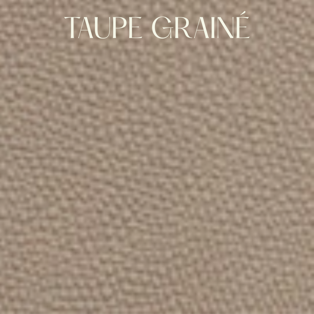 Support pour seau à glace en cuir - PINETTI