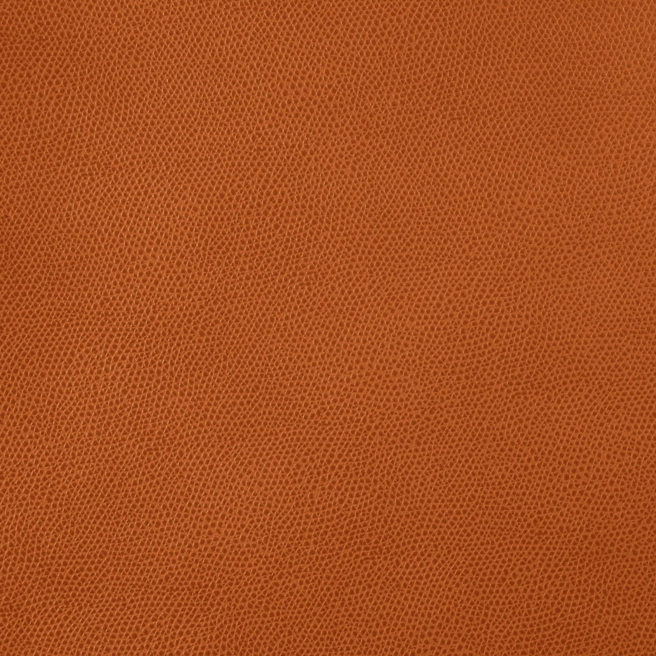 Console en cuir Helix - PINETTI - La Maison Milanaise00.1514BISCUITBiscuit