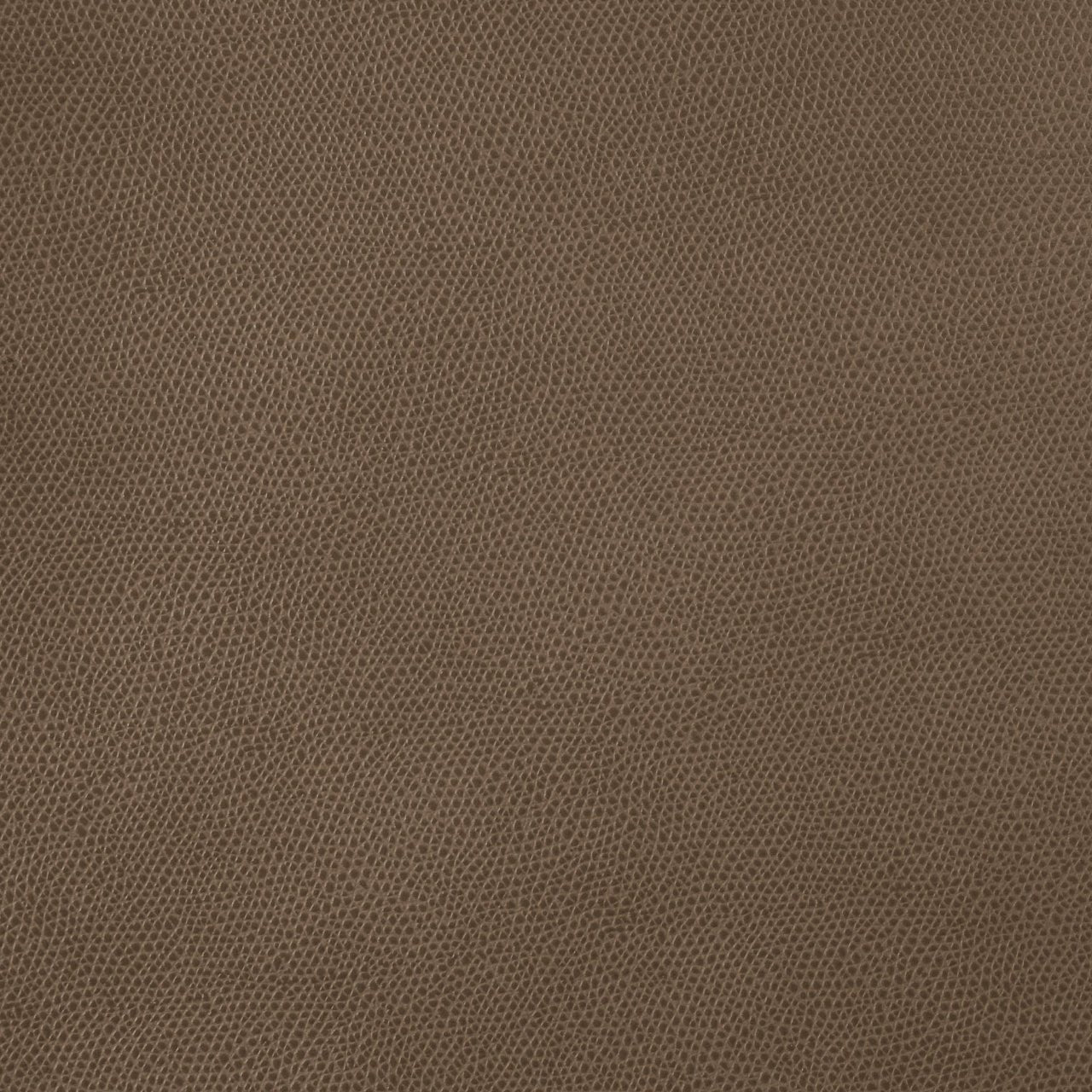 Console en cuir Helix - PINETTI - La Maison Milanaise00.1514EARTHEarth