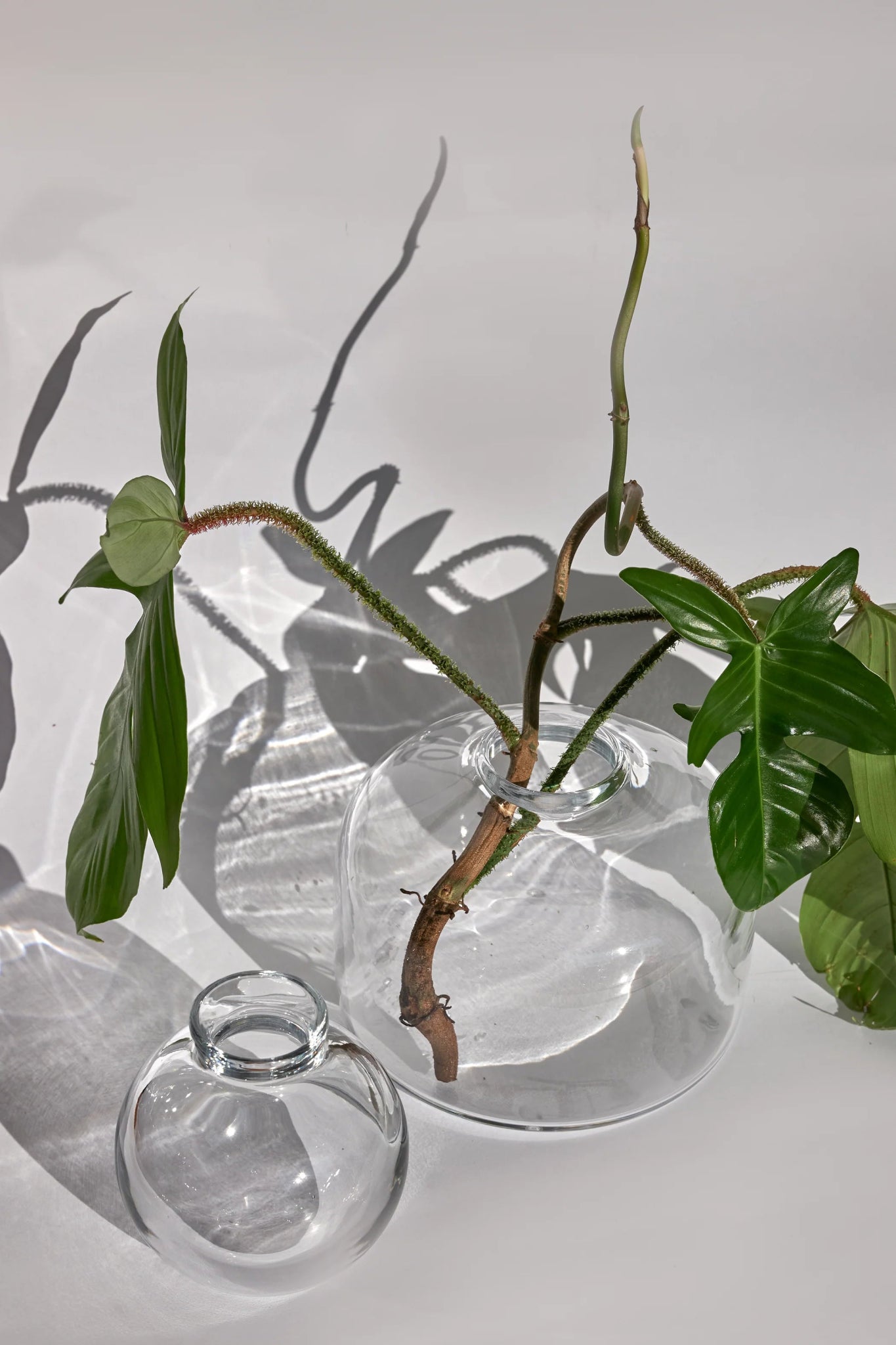Vase Cefalù Design sculptural en cristal soufflé à la main - STUDIO BOJOLA - La Maison MilanaiseCEFALUTransparent