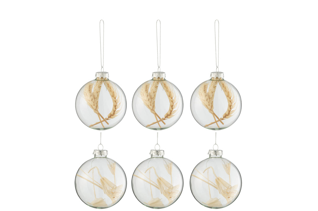 Boîte de 6 boules de Noël 3+3 Branches séchées en verre beige transparent Petit