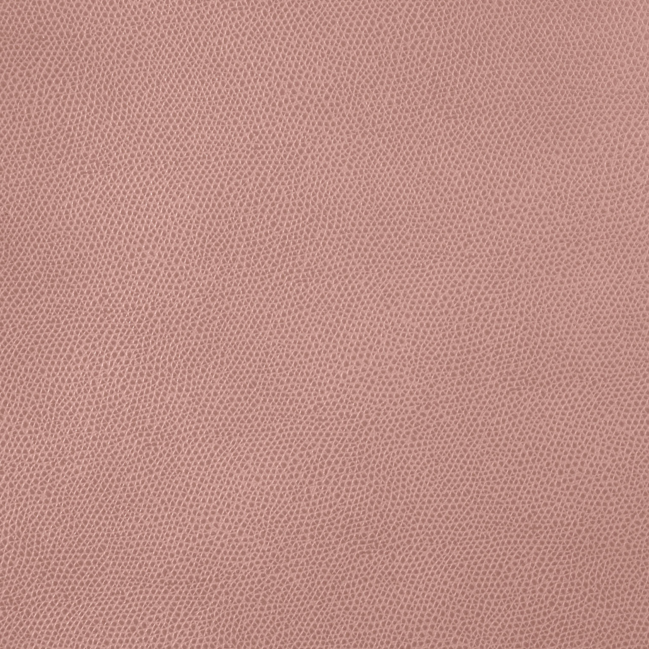 Dessous de verre rond en cuir grainé - PINETTI - La Maison MilanaiseDESSOUSROND29Cuir grainéRoseØ10cm