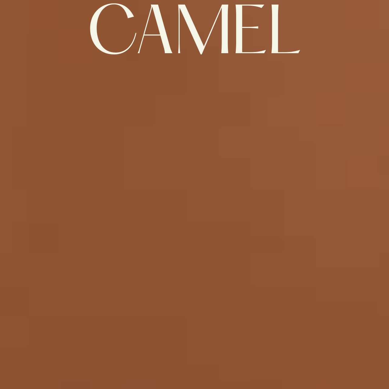 Panier rond bas en cuir Almeria - PINETTI - La Maison MilanaiseCAMELBASCamel