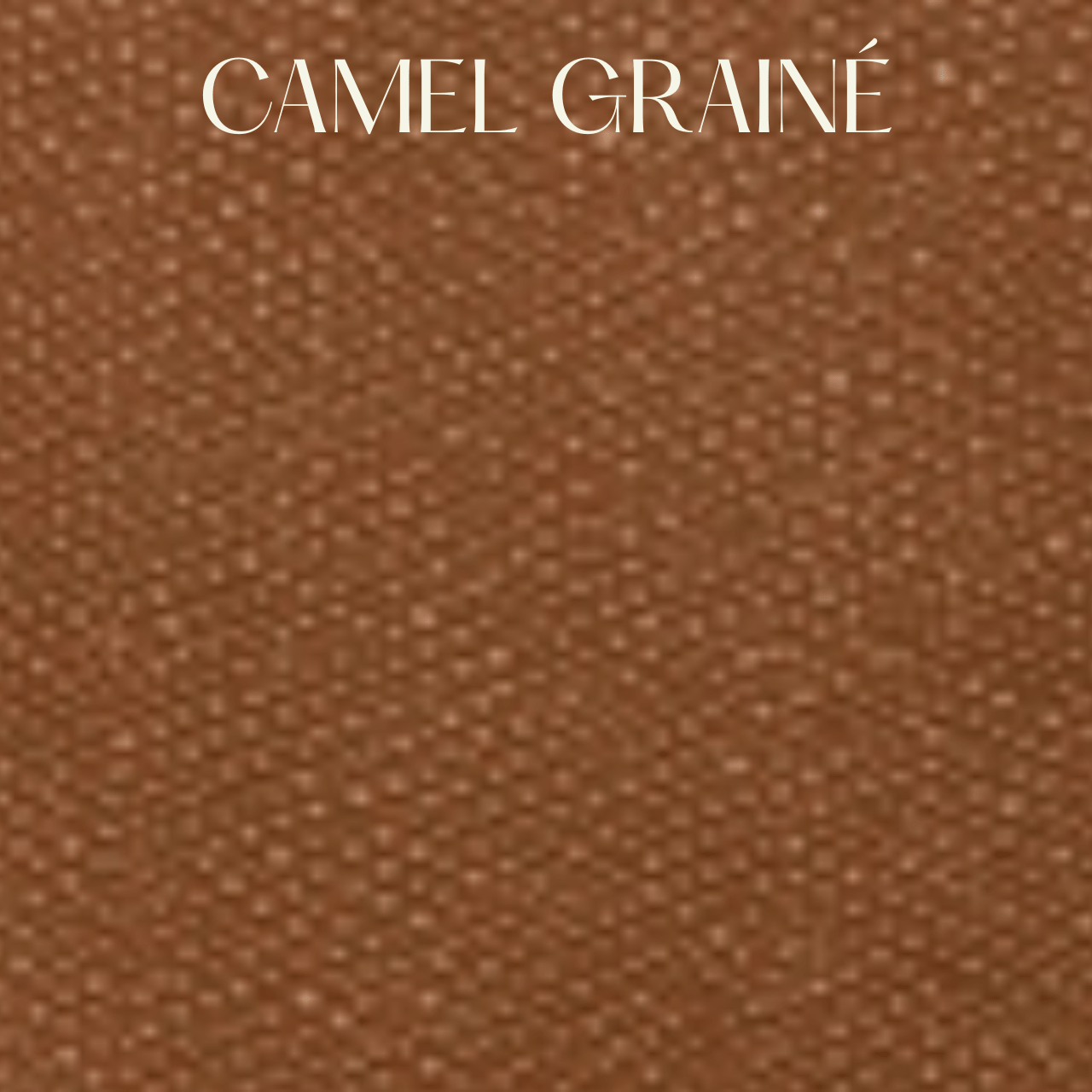 Porte - bouteille thermique en cuir - PINETTI - La Maison MilanaisePBCAMELGRCamel grainé
